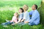 Family Sitting In Shade Under The Tree Stock Photo