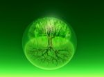Green Bio Sphere Stock Photo