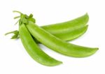 Sweet Pea Isolated On The White Background Stock Photo