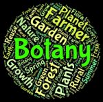 Botany Word Indicates Plant Life And Botanical Stock Photo