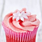 Cupcake Stock Photo