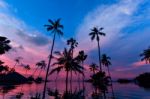 Tall Coconut Palm Trees At Twilight Sky Reflected In Water Stock Photo