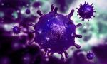 Sars Virus Stock Photo