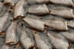 Dried Gourami Stock Photo