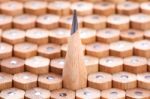 Group Of Pencils Stock Photo