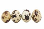 Raw Quail Eggs Stock Photo