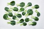 Bok Choy On White Background Stock Photo