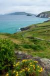 Slea Head In Dingle Peninsula Stock Photo