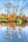 Fall Forest With Mirror Image In Water Stock Photo