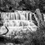 Liffey Falls In The Midlands Region, Tasmania Stock Photo