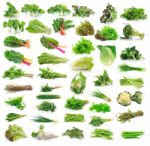 Vegetables Collection Isolated On White Background Stock Photo