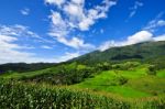 Landscape Village Terrace Rice Field Stock Photo