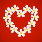 Heart Shape Made With Frangipani Stock Photo