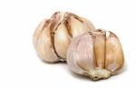 Garlic Bulbs Stock Photo