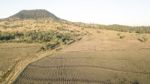 Country Agricultural And Farming Field Stock Photo