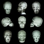 Collection Of Asian Skull Stock Photo