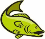 Largemouth Bass Jumping Cartoon Stock Photo