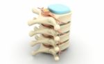 3d Rendered Of Illustration - Human Spine Stock Photo