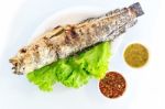 Grilled Salted Catfish Stock Photo