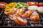 Shrimp,prawns Grilled With Chilly And Onion On Barbecue Stove Stock Photo