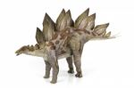 Stegosaurus Stock Photo