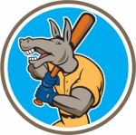 Donkey Baseball Player Batting Circle Cartoon Stock Photo