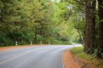 The S Curve Asphalt Road Is Along With Forest Stock Photo