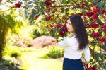 Young Beautiful Woman With Long Straight Dark Hair Posing In Spr Stock Photo