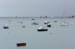 Appledore, Devon/uk - August 14 :sailing In The Torridge And Taw Stock Photo