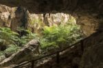 Sunlight Through A Cave Hole In Thailand Stock Photo