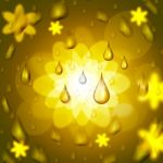 Rain Drop Shows Bloom Florals And Petal Stock Photo