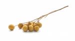 Draft Longan Bouquet On White Floor Stock Photo