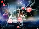 Neuron Stock Photo