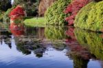 Sheffield Park, Sussex/uk - November 3 : Sheffield Park Gardens Stock Photo