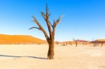 Dead Vlei Near Sesriem In Namibia Stock Photo