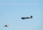 Airbourne Airshow At Eastbourne 2014 Stock Photo