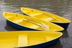 Row Boats Stock Photo