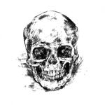 Drawing Human Skull On White Stock Photo