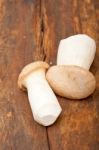 Fresh Wild Mushrooms Stock Photo