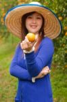 Gardener Girl Picking Fresh Orange Stock Photo