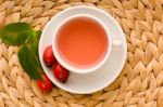 Rose Hip Tea Stock Photo