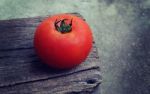 Tomato Stock Photo