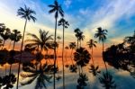 Tall Coconut Palm Trees At Twilight Sky Reflected In Water Stock Photo