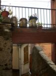 View Of The Alleys Of The Village Of Riomaggiore C Stock Photo