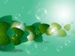 Bubbles Leaves Represents Garden Rural And Trees Stock Photo