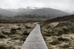 Cradle Mountain In Tasmania Stock Photo