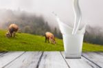 White Milk In Glass On The Table Stock Photo