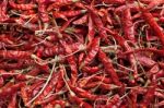 Dried Red Chilli Stock Photo