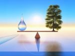 Nature Equilibrium Stock Photo