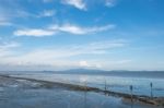 Low Tide At Samutprakan Thailand Stock Photo